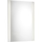 Miroir LED Eira 2.0 IP 20 230 V-14, 4W, sans interrupteur a bascule, lxhxp: 600x800x25mm