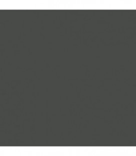 Miroir avec éclairage+tablette anthracite mat 350x900mm
