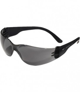 Lunettes de protection Hockenheim clair