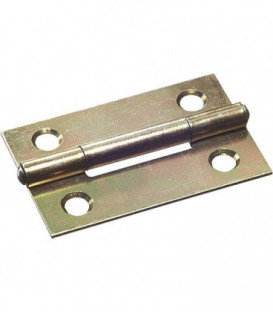 Charniere fine avec vis zingue L : 50mm Emballage 2 pieces