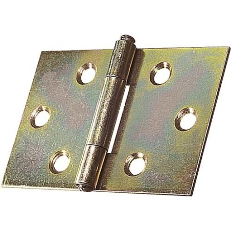 Chaniere large avec vis zingue Lxl : 30x30 mm Emballage 2 pieces