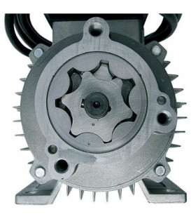 Pompe à engrenages electro PIUSI Viscomat Gear 230/3 M 230V, 1250W