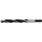 ALPEN meche a bois helicoidale diam. 12 mm
