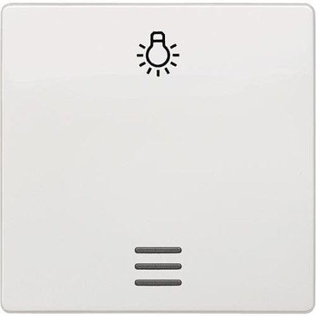 Interrupteur a bascule avec symbole lumiere et fenetre blanc titan 55x55mm type de protection IP20 1pc