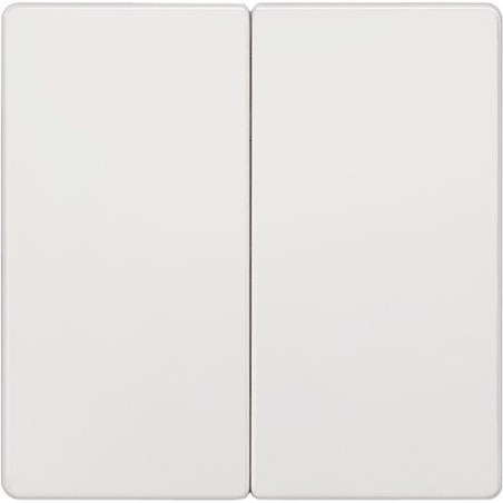 Interrupteur a bascule 2 boutons neutre Blanc electrique 55mmx55 mm type de protection IP20 1pc