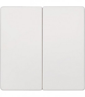 Interrupteur a bascule double neutre Blanc titan 55 mm x 55 mm Type de protection IP2 0 1 pc