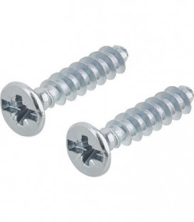 Vis 3,2 x 15mm avec combi-cruciforme emballage  :  100 piecs