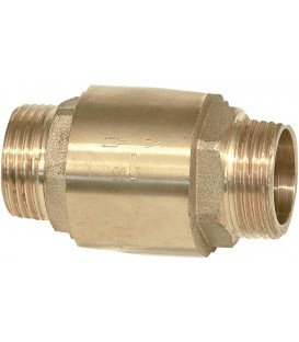 Soupape de retenue filetage mâle x filetage mâle 1" avec insert metallique et joint en viton