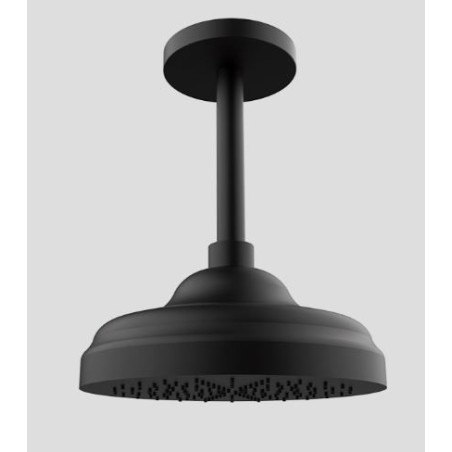 Douche de tete 1866 et bras au plafond