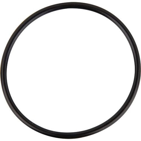 Joint torique pour tasse de filtration convient pour FloCo-Top-1C/-2CM UE 10 pcs.