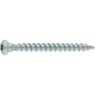 Vis pour sabots 5,0x25 mm filetage complet T20, Wirox UE 200 pièces