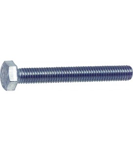 Vis six pans A2 avec filetage complet M 20x80, UE 25