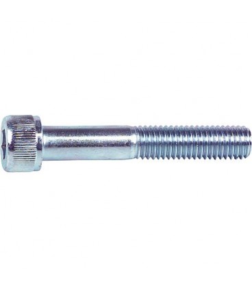 Vis à tête cylindrique à six pans creux 8.8 DIN EN ISO 4762 galvanisées M 16 x 110 conditionnement : 25 Vis à tête cylindrique à six pans creux 8.8 DIN EN ISO 4762 galvanisées M 16 x 110 conditionnement : 25