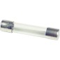 Fusible flink 0,630A (6,3x32), cond. 10 Fusible flink 0,630A (6,3x32), cond. 10