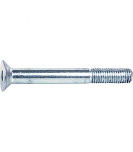 Vis à tête fraisée à six pans creux 8.8 DIN 7991 galvanisées M 20 x 110 conditionnement : 25