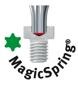 Jeu de clés à ergots Wiha® Torx® avec MagicRing®, 14 pièces, oxydé noir