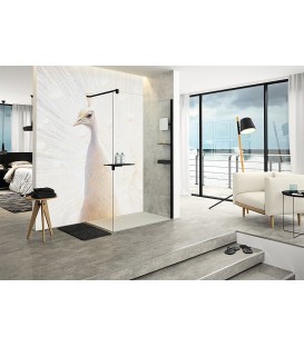 Paroi de douche en verre Walk-In Hüppe Select+ avec kit de profilés muraux, l x H x P 1085-1200 x 2000 x 8 mm ETC Black Edition