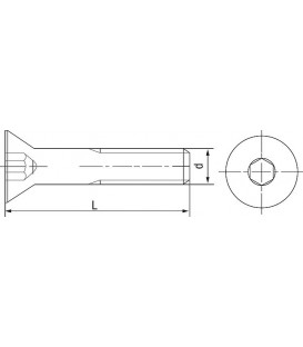 Vis à tête fraisée à six pans creux et VG ISO 10642 A4-070 M 20X80 conditionnement : 25