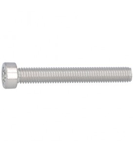 Vis cylindriques, TX, tête basse ISO 14580 A2 M 3X4 conditionnement : 1000