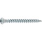 Vis pour sabots 5,0x50 mm filetage complet T20, Wirox UE 200 pièces Vis pour sabots 5,0x50 mm filetage complet T20, Wirox UE 200 pièces