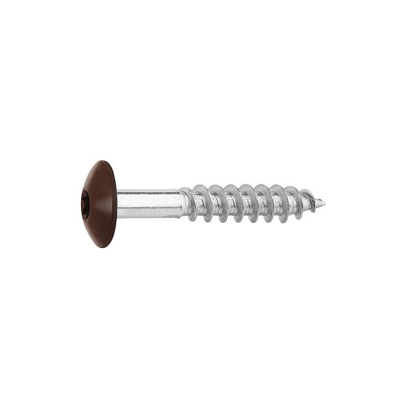 Vis pour panneaux stratifiés A4, 5,5 x 35, RAL 8014 brun sepia, UE : 100