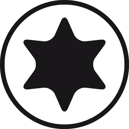 1/4" Standard-Bit, Torx Form E 6,3