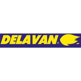 Gicleur Delavan 3,00/45°A