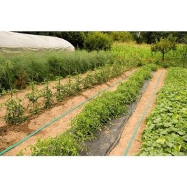 Tuyau plat flat Id D:25mm, 50m