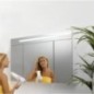 Armoire à glace avec Cache brillant graphite 3 portes 1200x740x160 mm