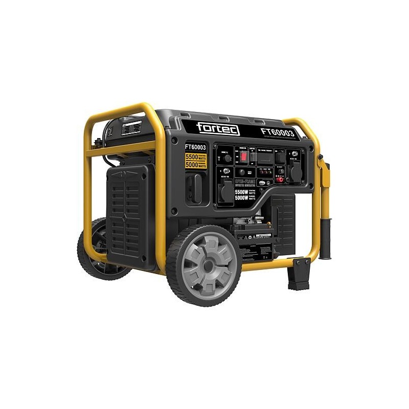 Groupes électrogènes fortec® essence FT60003