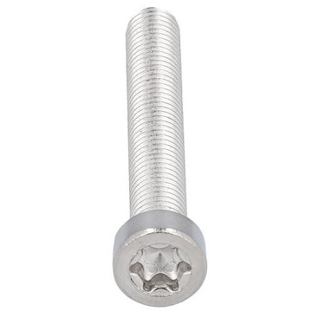 Vis cylindriques, TX, tête basse ISO 14580 A2 M 4X5 conditionnement : 1000